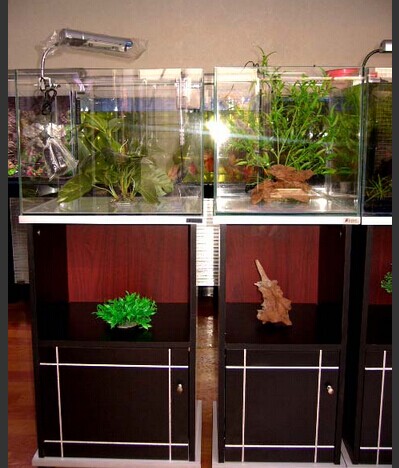 東莞有機玻璃專業(yè)制作各類精美工藝品